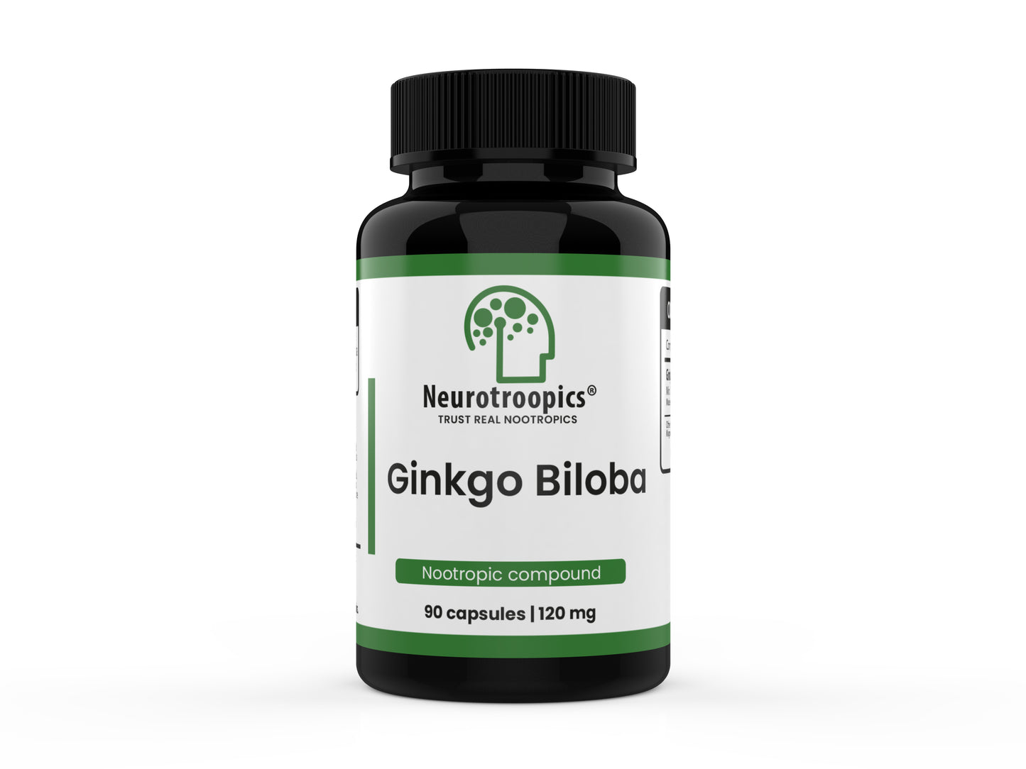 Ginko Biloba - 120 Mg 90 Cápsulas