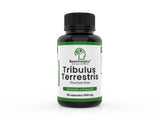Tribulus Terrestris Extracto (Puncture vine)- 500 mg
