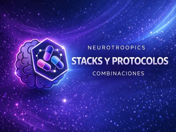 Stacks y protocolos