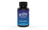 Neuron Active Original