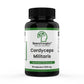 Cordyceps Militaris - 90 Cápsulas 500 Mg