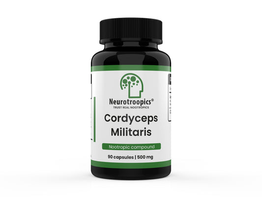 Cordyceps Militaris - 90 Cápsulas 500 Mg