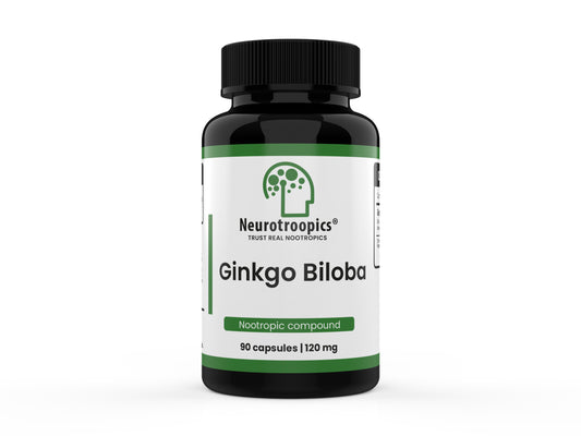 Ginko Biloba - 120 Mg 90 Cápsulas
