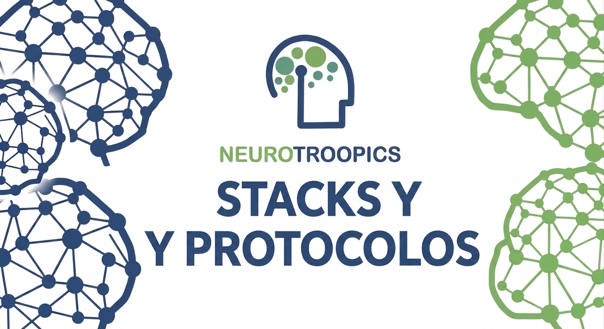 Stacks y Protocolos 