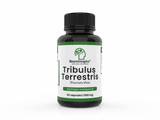 Tribulus terrestris Extracto - 500 mg